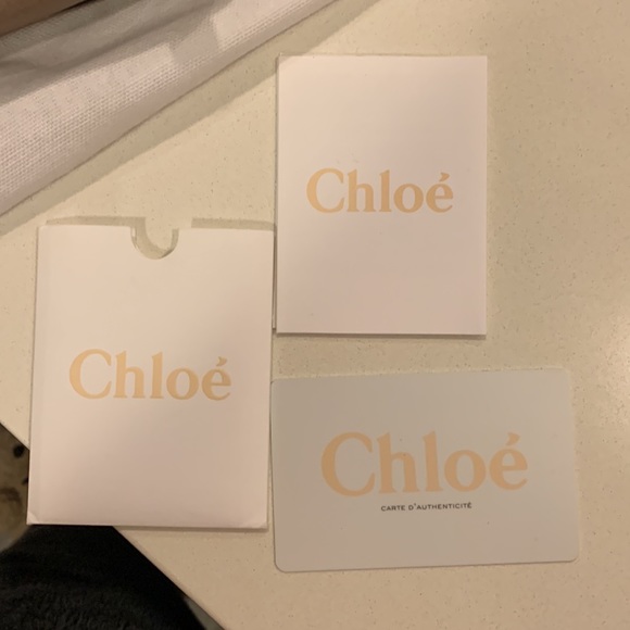 Chloe mini Faye Backpack - Picture 6 of 11